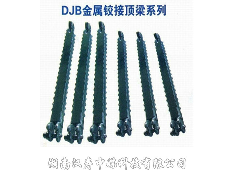 顶梁